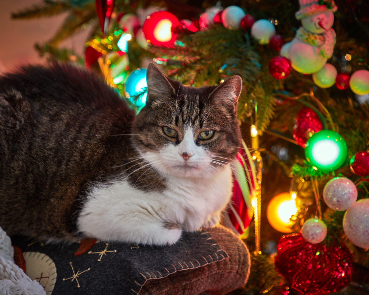 Серый кот сидит на диване у новогодней елки