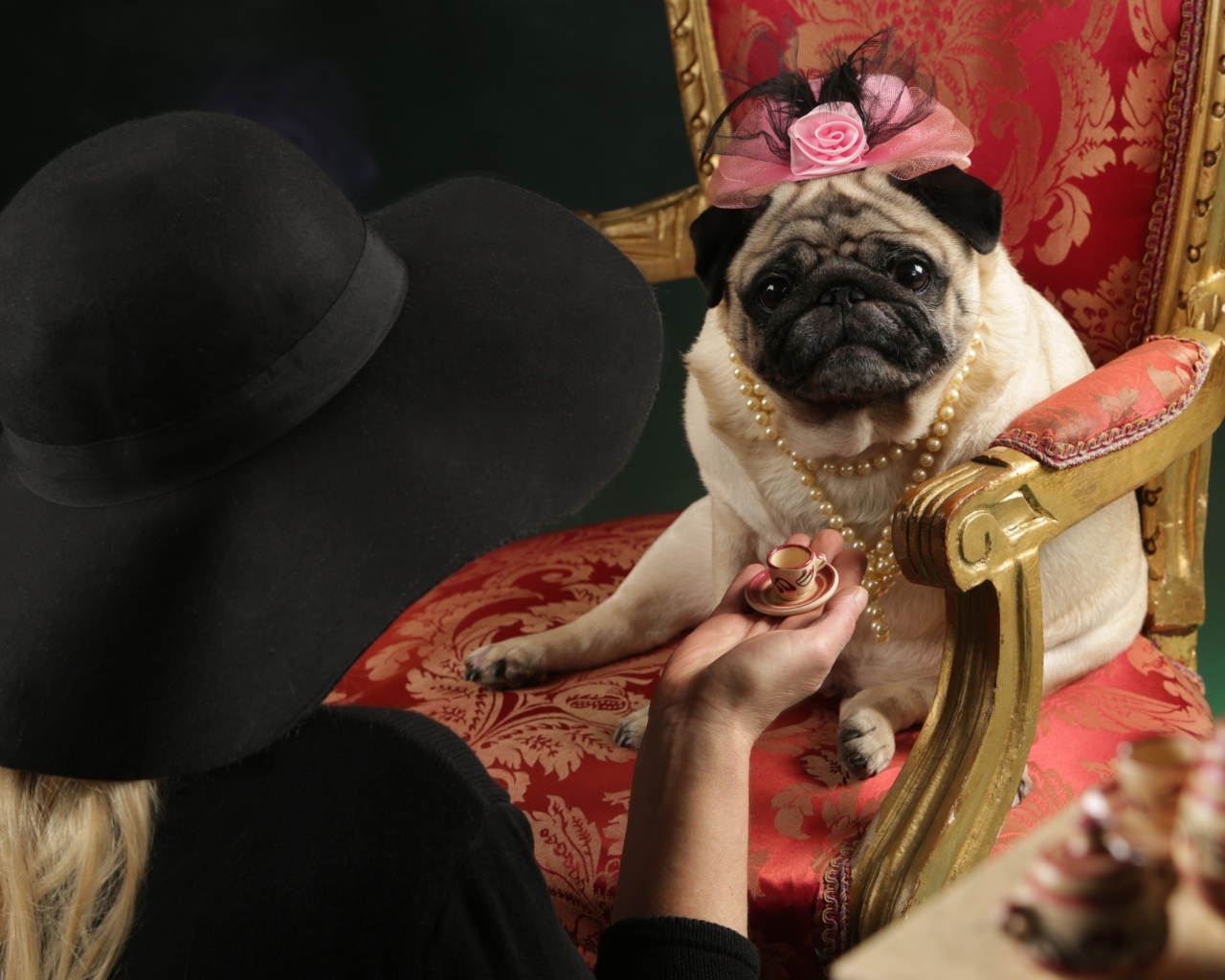 Мопс в костюме сидит в кресле