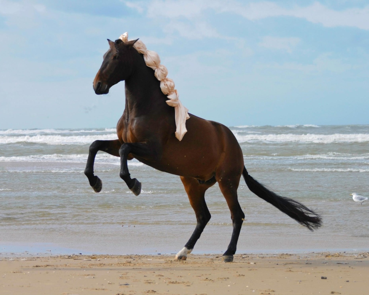 Большая коричневая лошадь на песке у моря