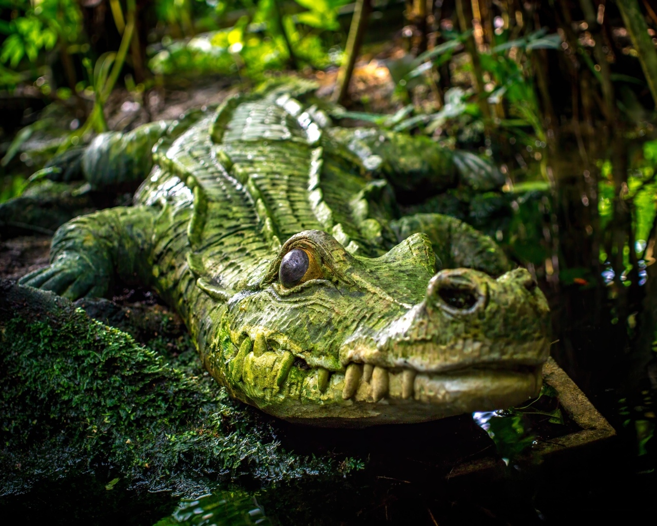 Большой зеленый крокодил у воды