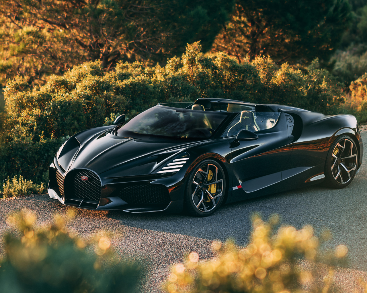 Черный быстрый автомобиль Bugatti W16 Mistral