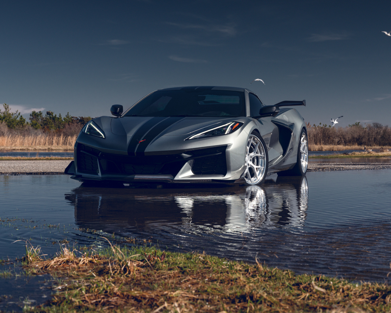 Серебристый Chevy Corvette Z06 стоит в воде