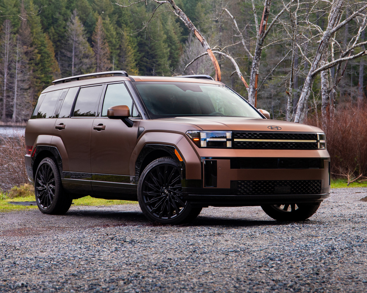 Внедорожник Hyundai Santa Fe Calligraphy 2024 года