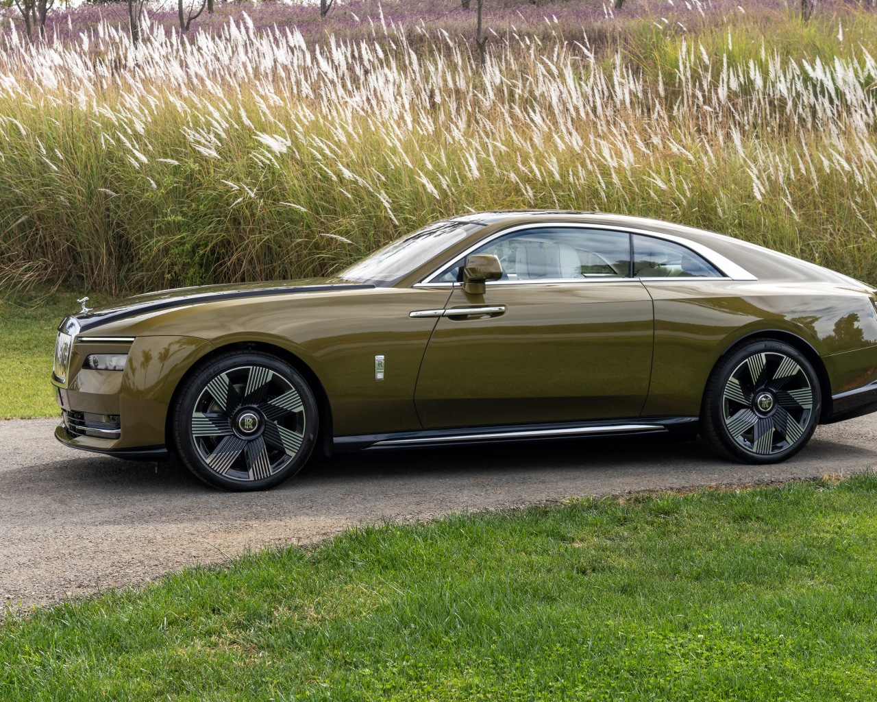 Оливковый автомобиль Rolls-Royce Spectre у высокой травы