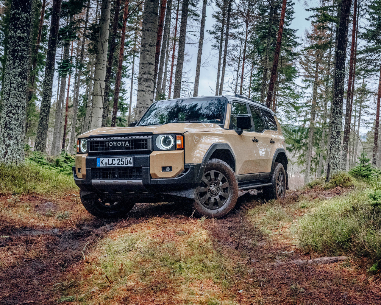 Внедорожник Toyota Land Cruiser First Edition в лесу