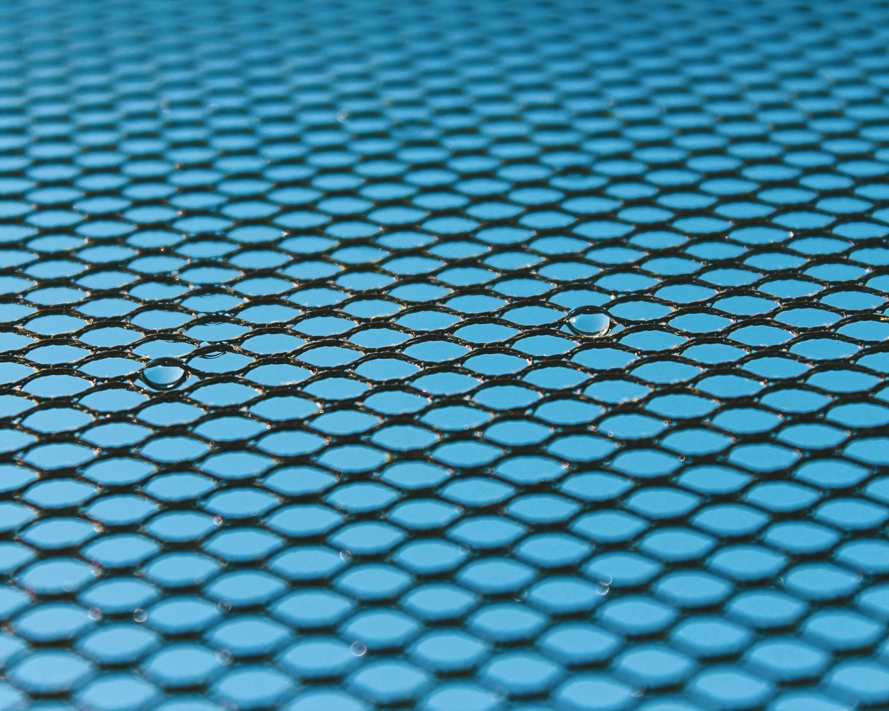 Черная сетка на голубом для фона