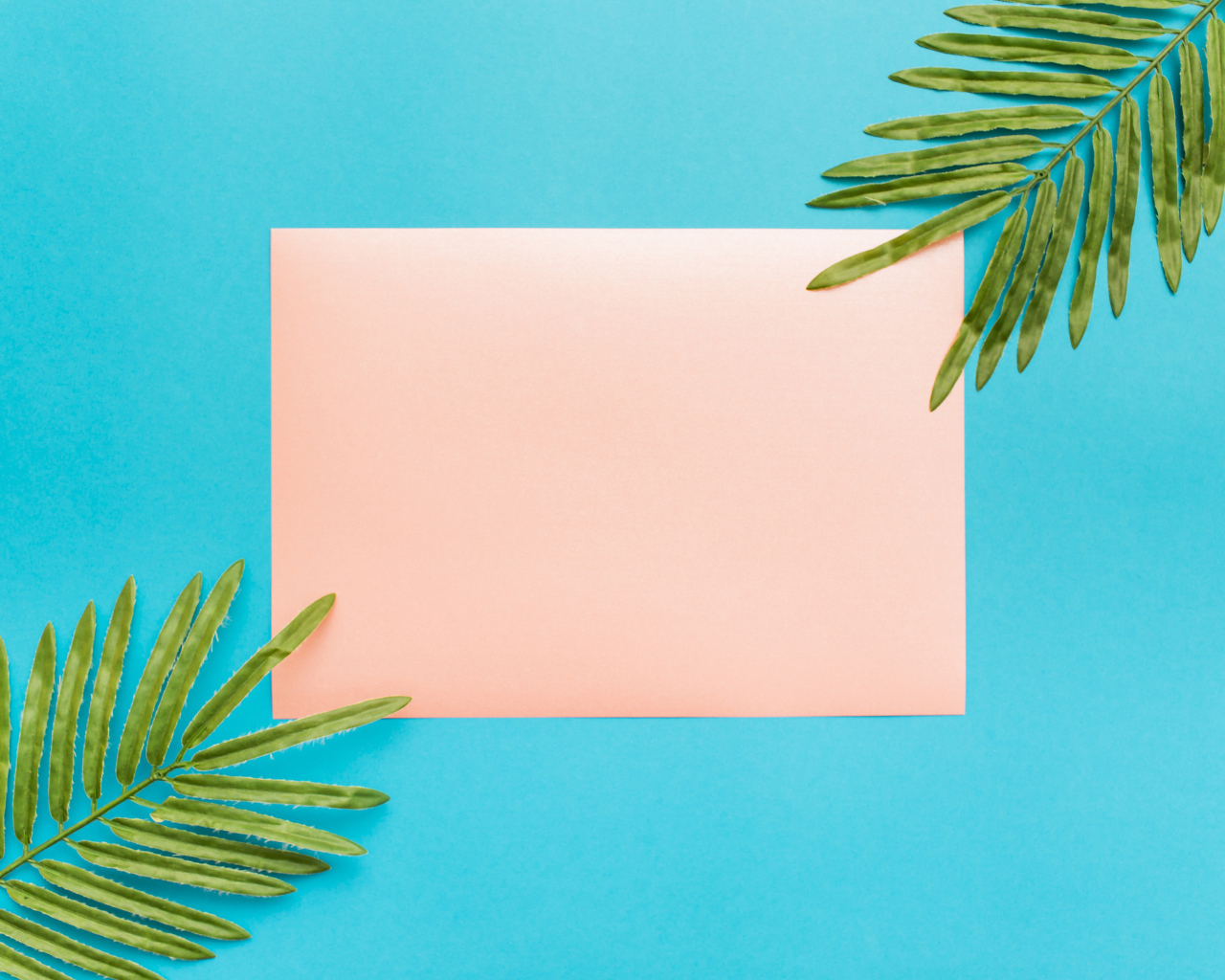 Лист бумаги и два зеленых листа на голубом фоне