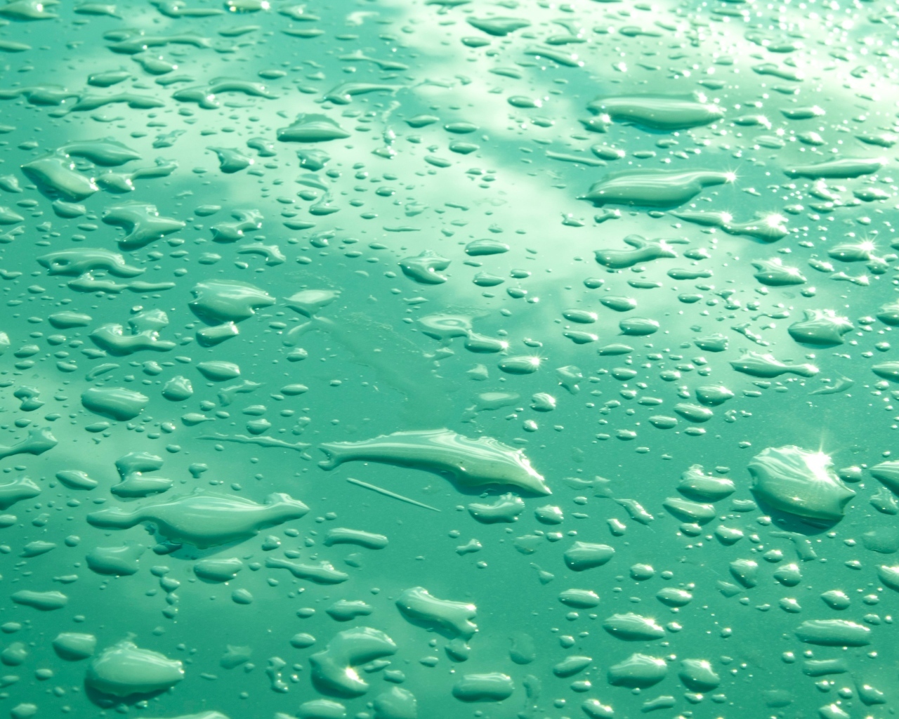 Капли воды на зеленом фоне