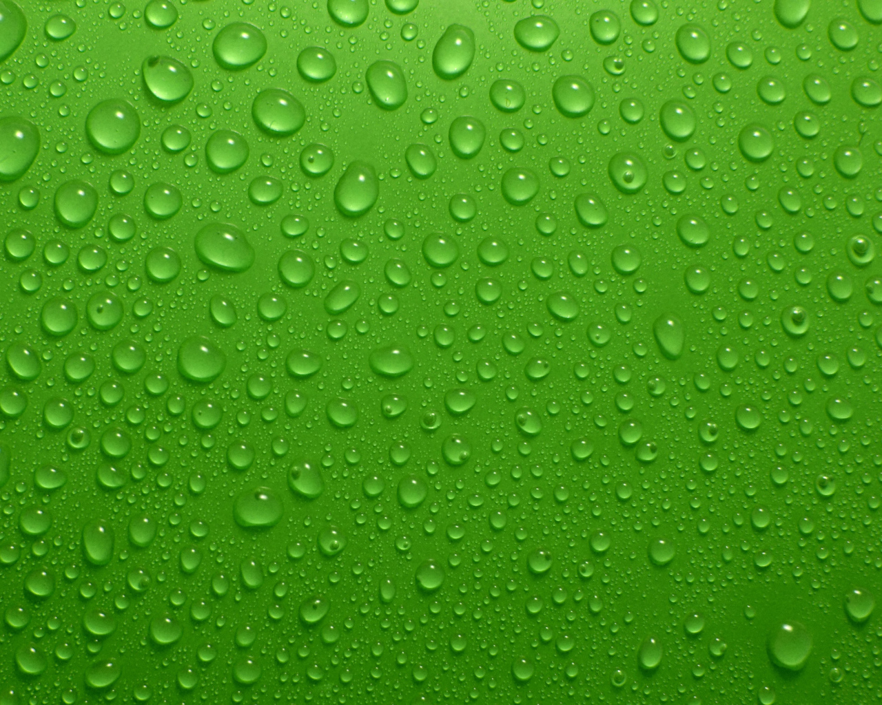 Капли воды на зеленом фоне