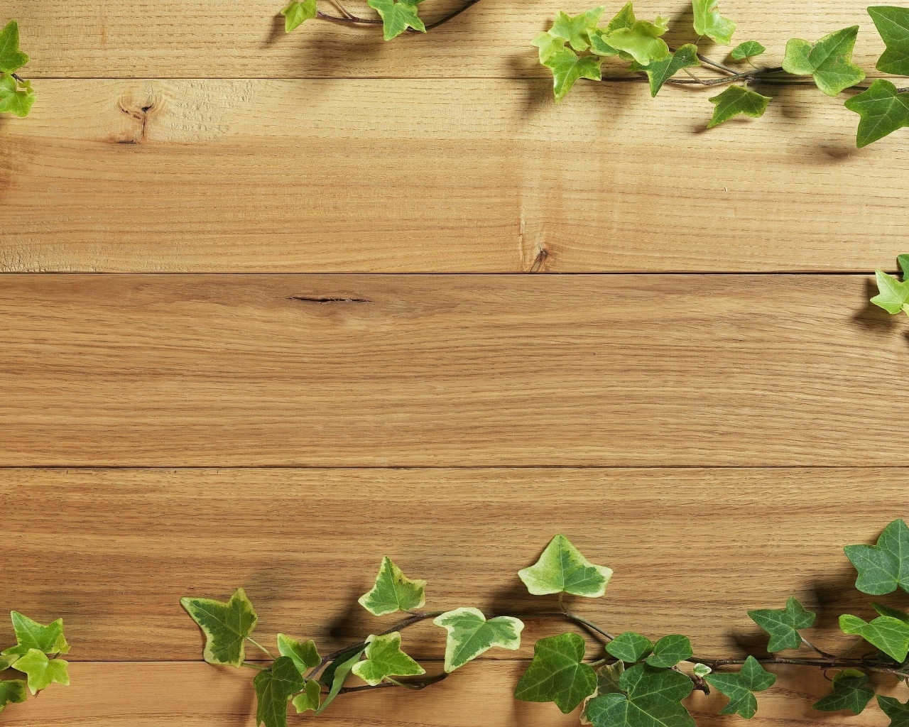 Деревянный фон с листьями плюща