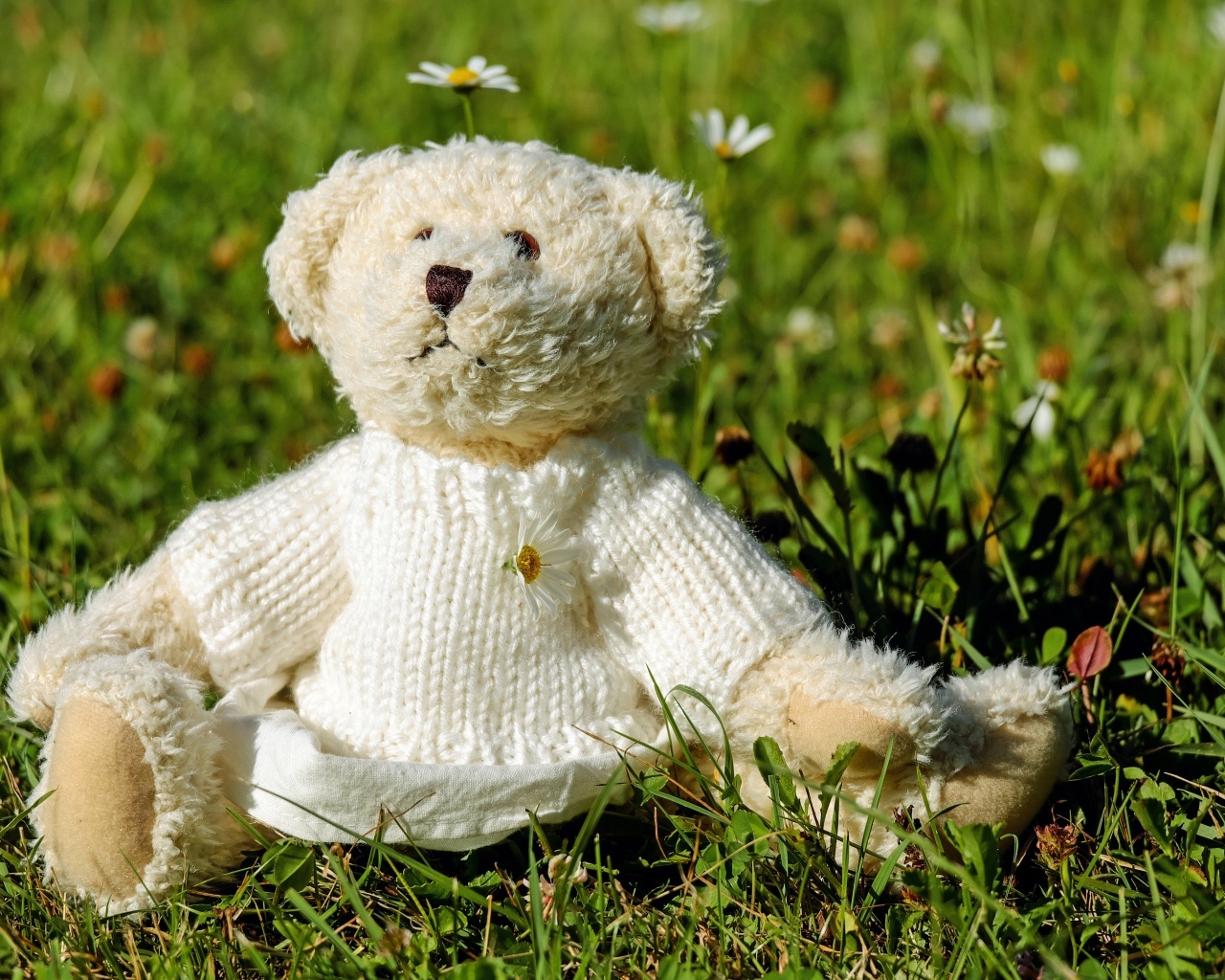 Игрушечный медвежонок в свитере сидит на траве