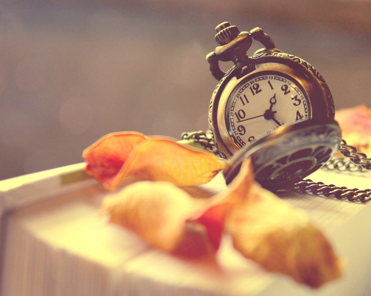 Старые карманные часы с сухими листьями лежат на книге