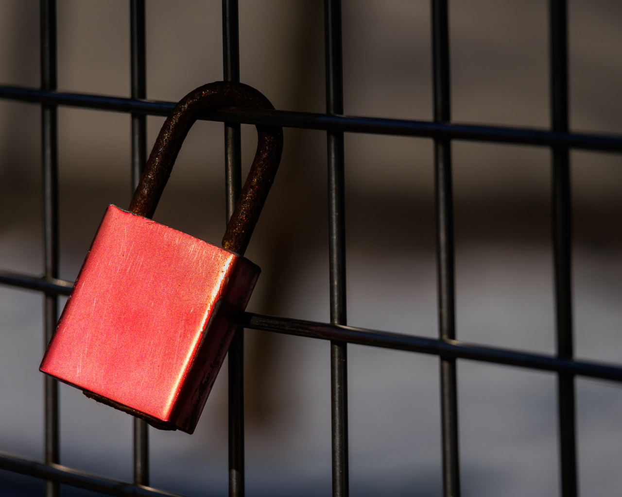 Красный замок на сетке 