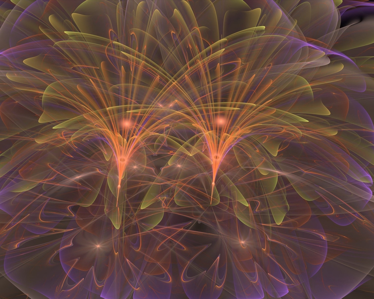 Светящиеся фигуры абстрактных цветов