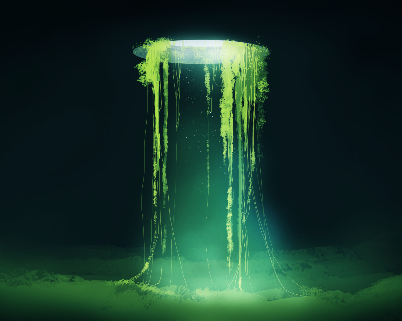 Растения растут из дыры в небе