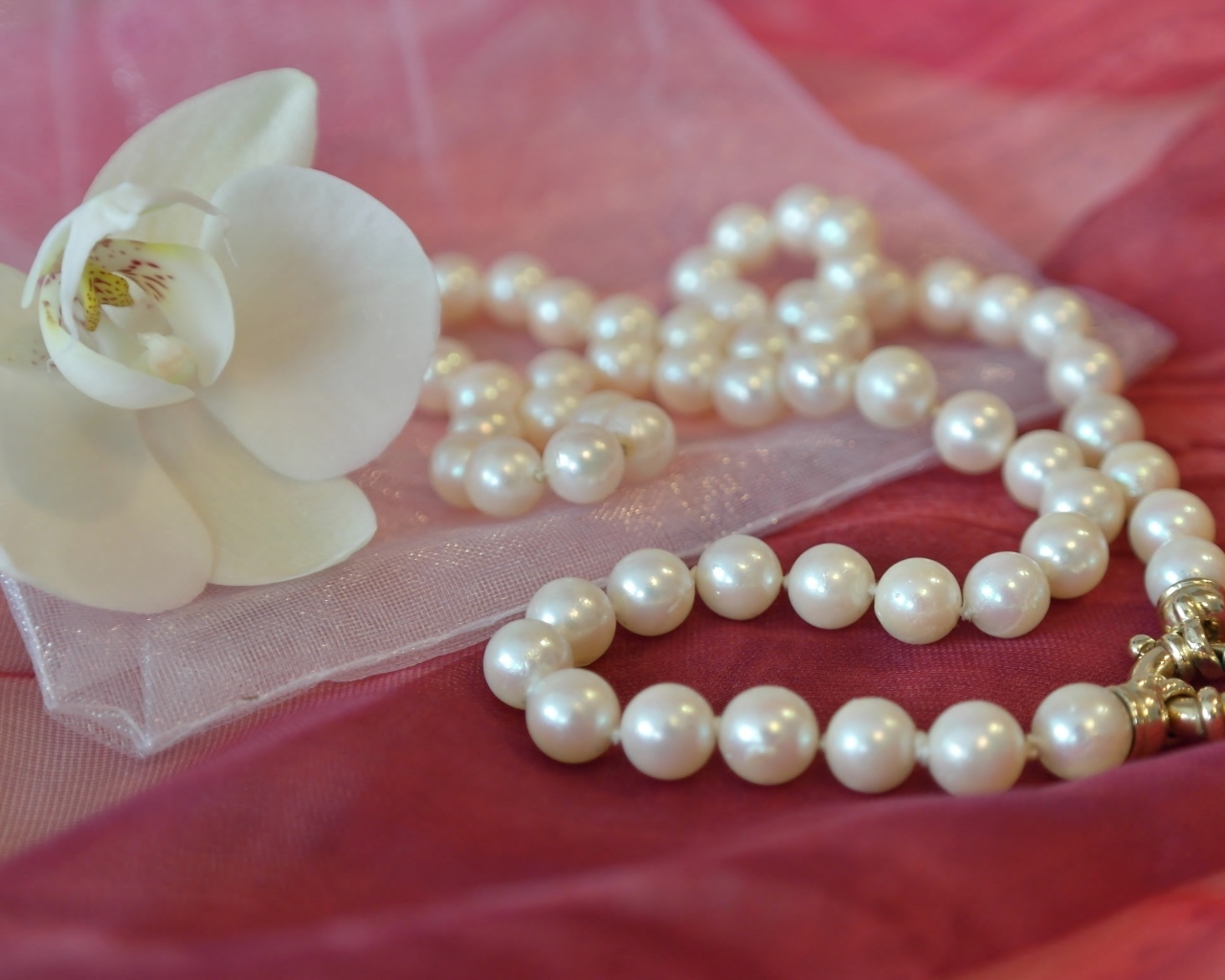 Жемчужные бусы с белым цветком орхидеи