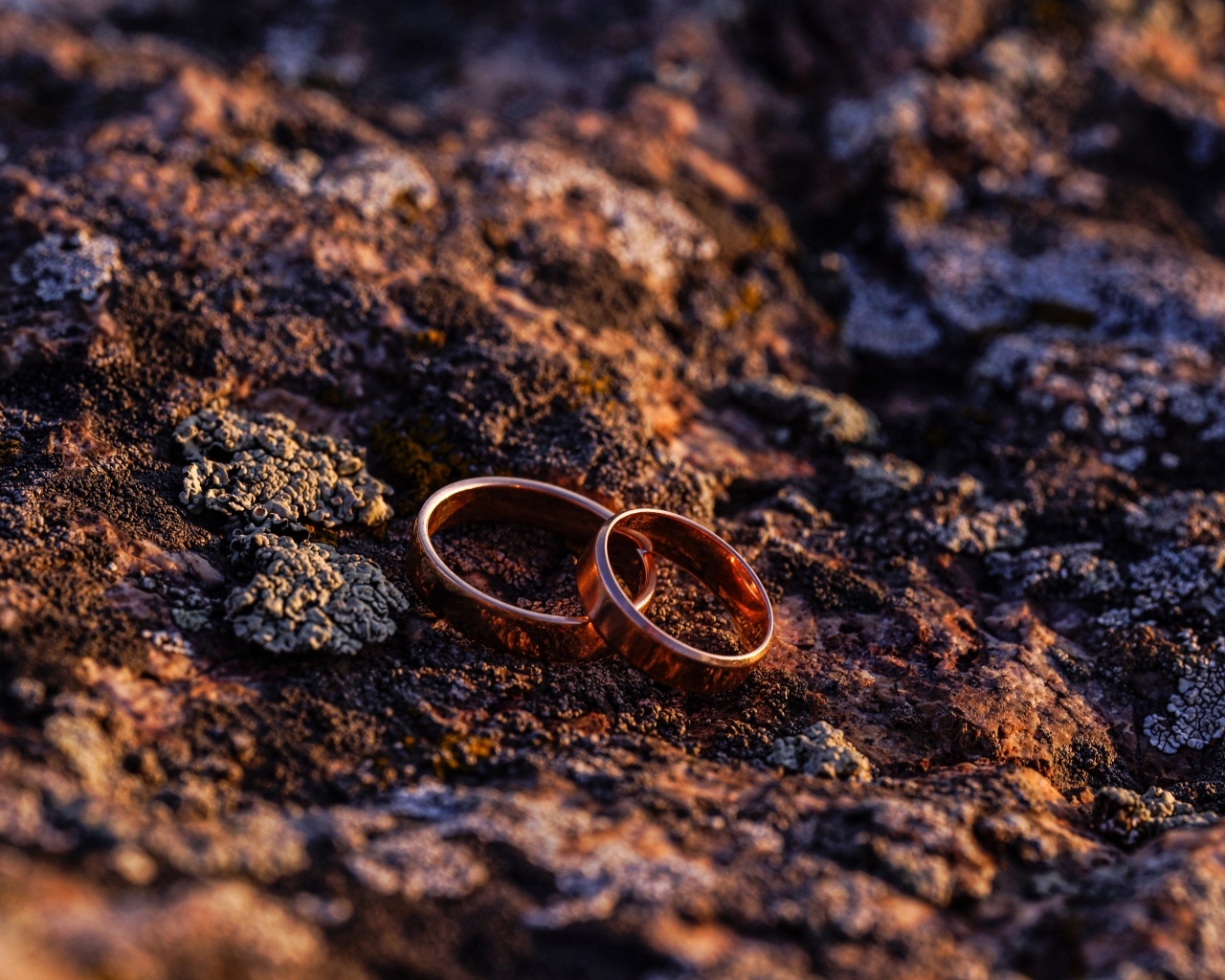 Два обручальных кольца на земле