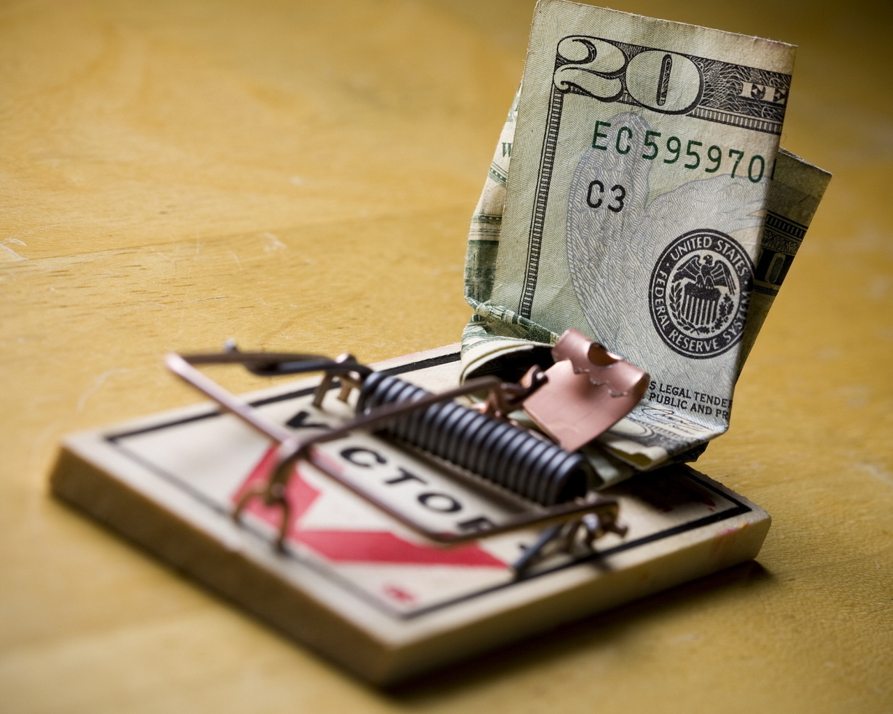 Купюра доллара в мышеловке