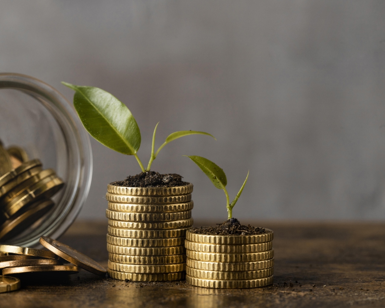 Зеленые ростки с золотыми монетами на столе