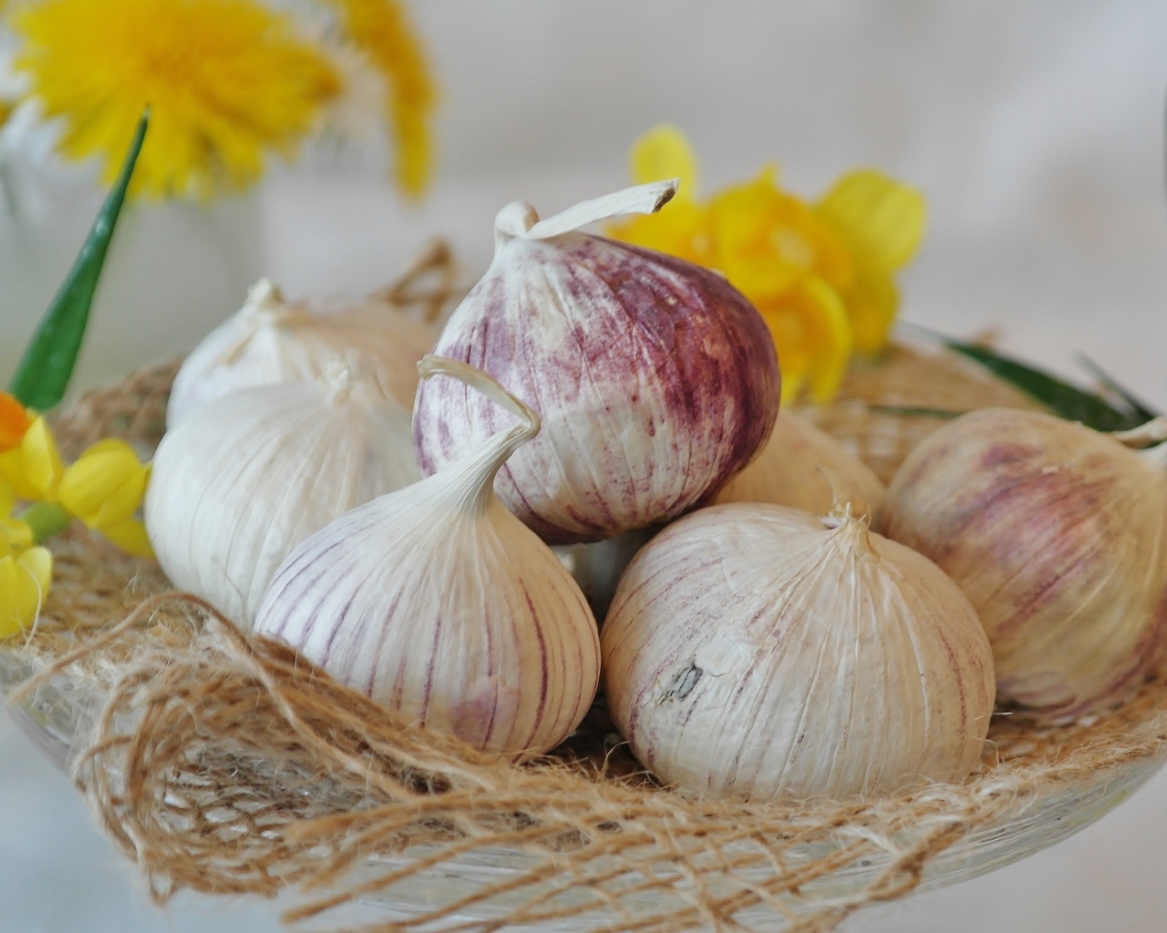 Головки чеснока с цветами нарцисса на столе