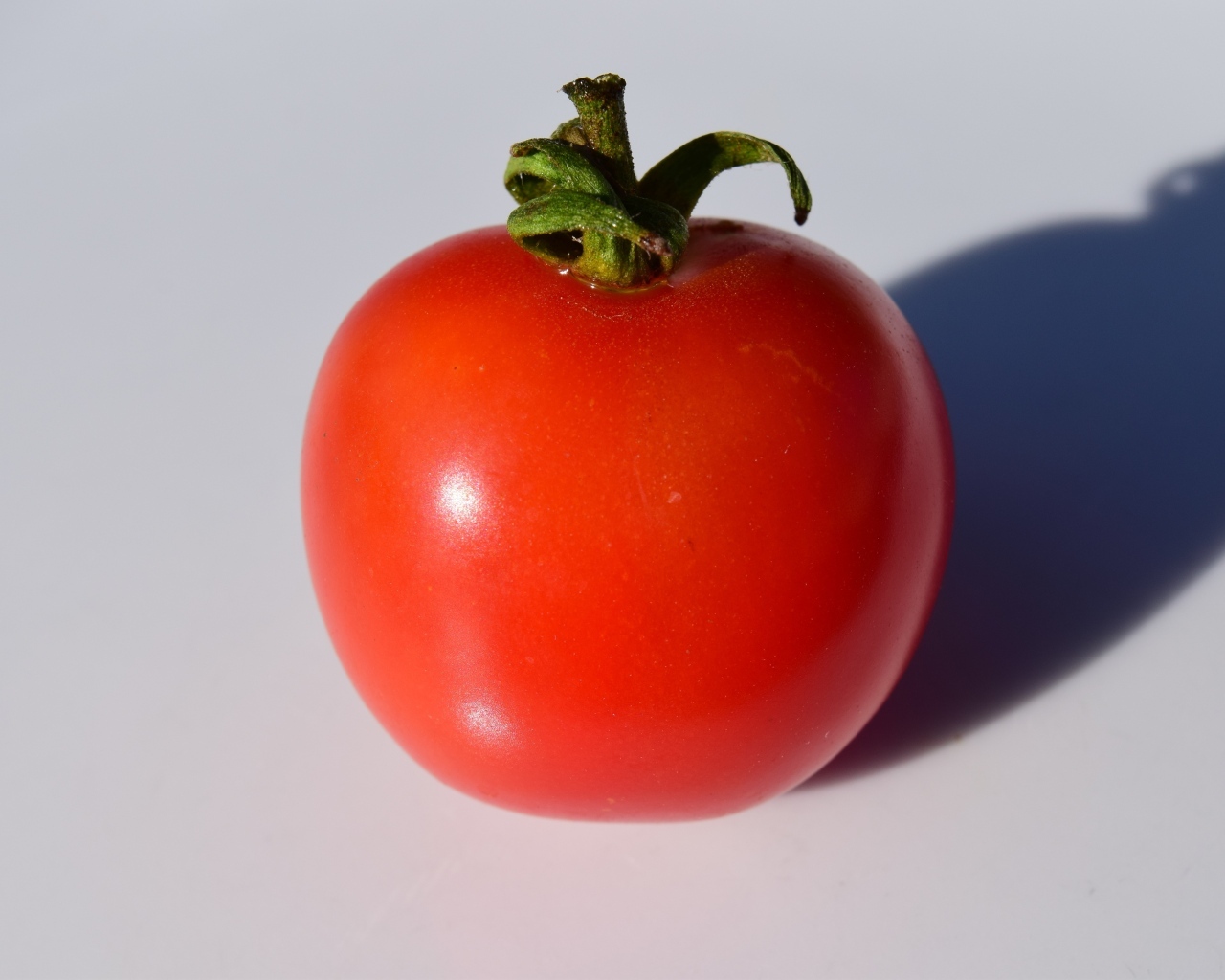 Большой красный помидор на сером фоне