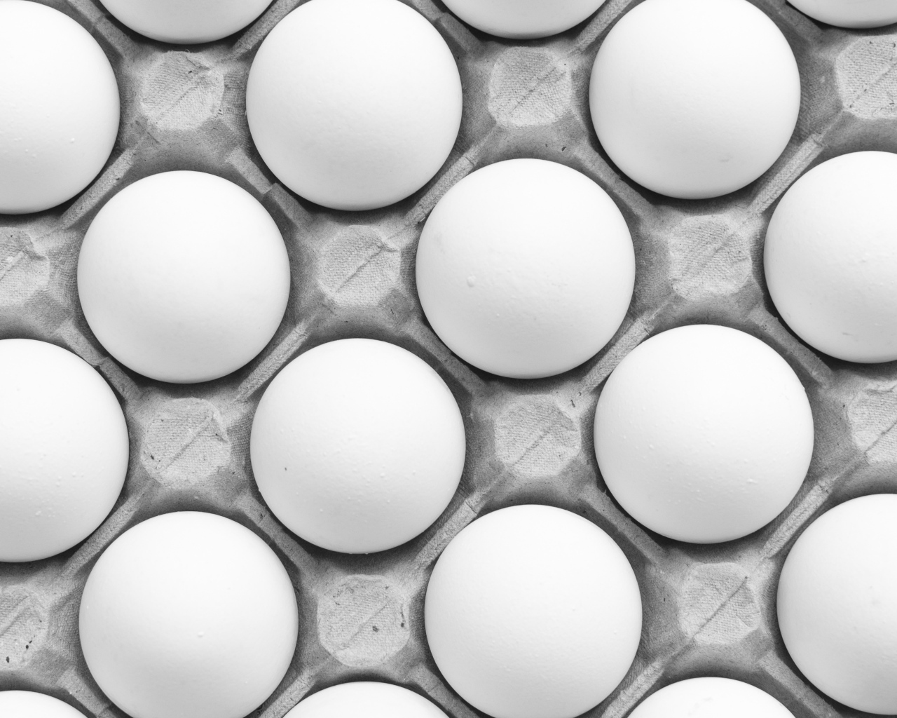 Много белых яиц в подставке на столе