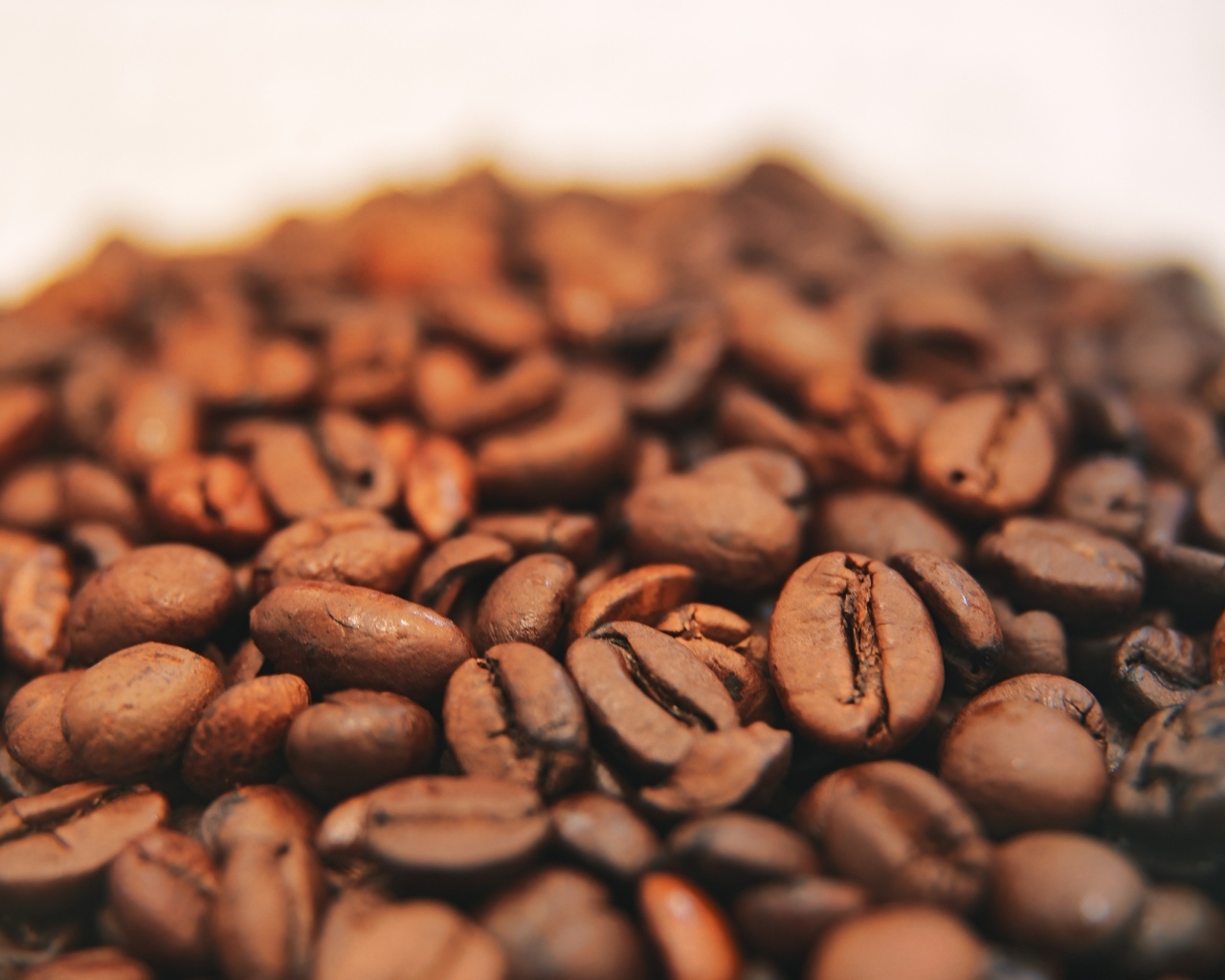 Жареные кофейные ароматные зерна крупным планом