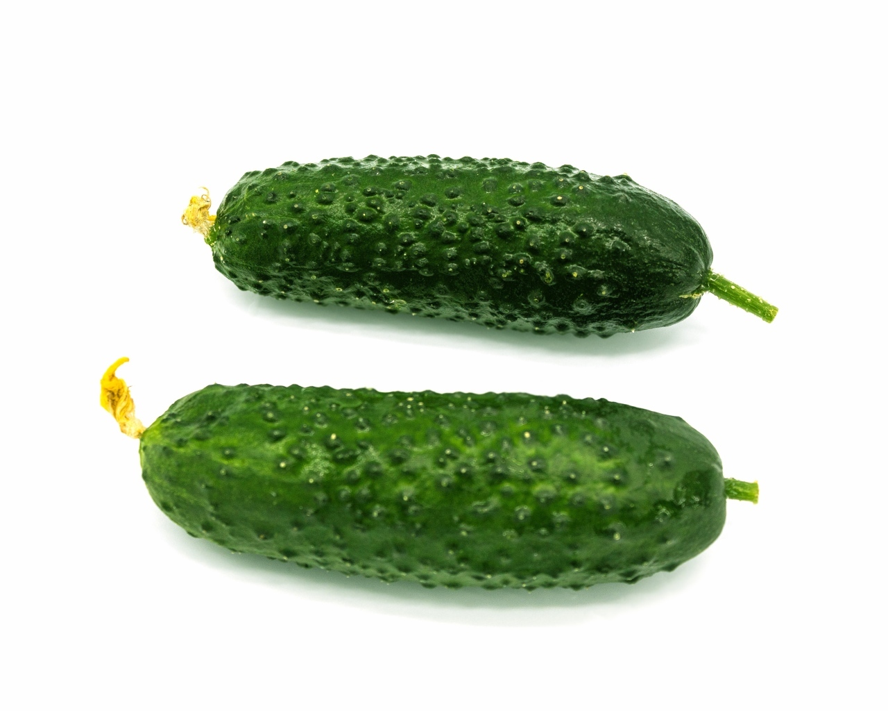 Два зеленых огурца на белом фоне