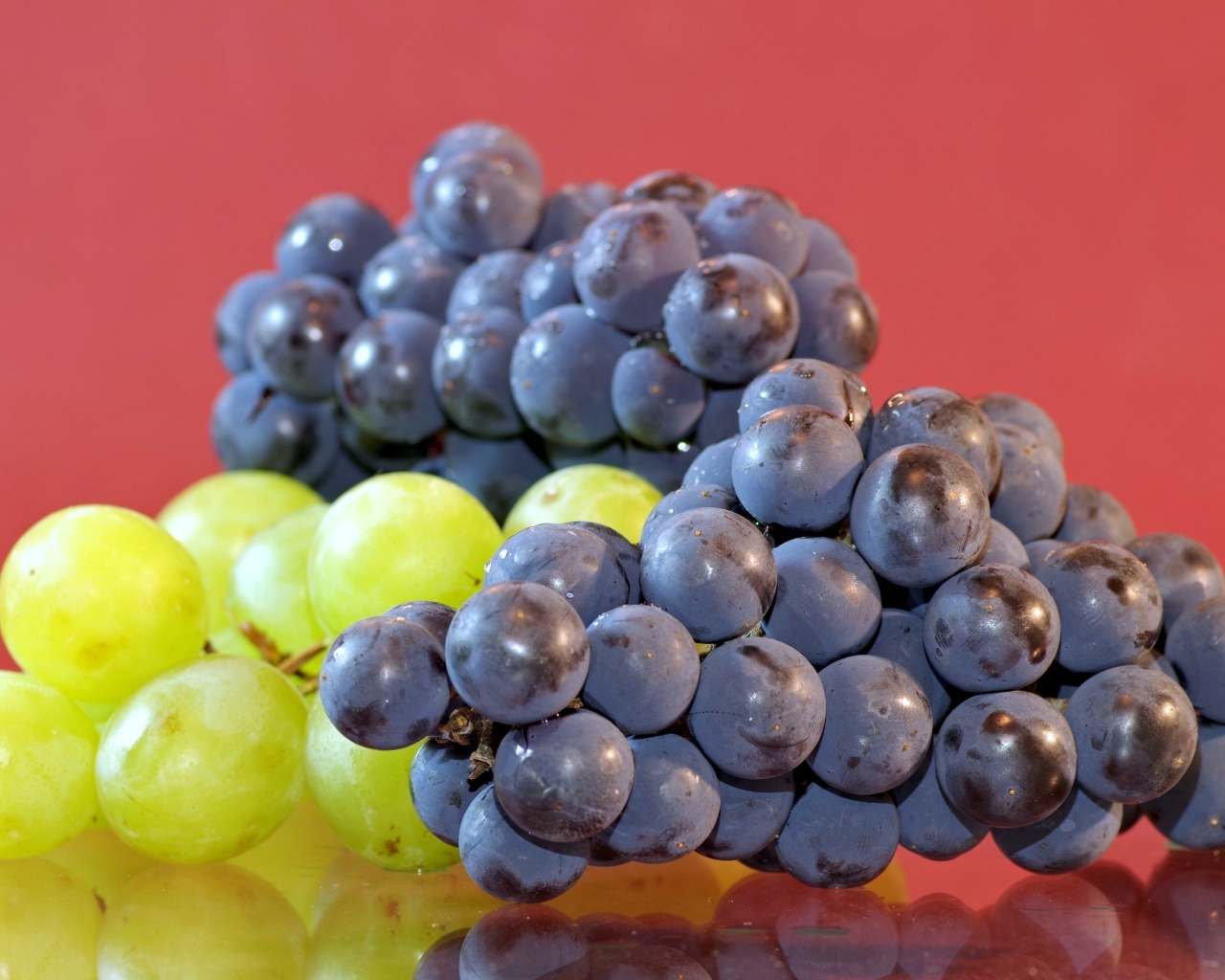 Синий и зеленый виноград на красном фоне
