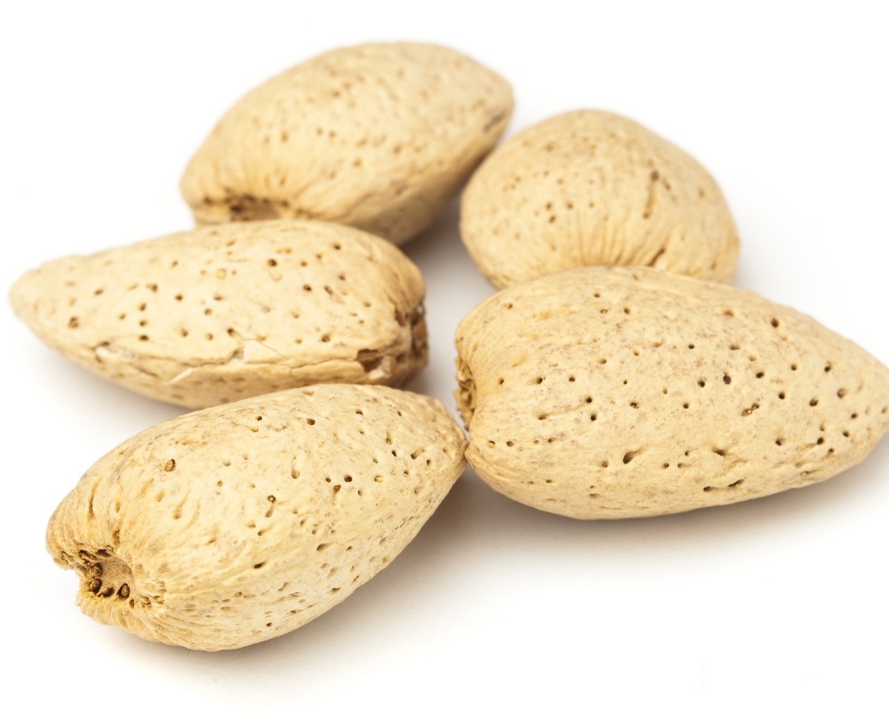 Большие миндальные орехи в скорлупе