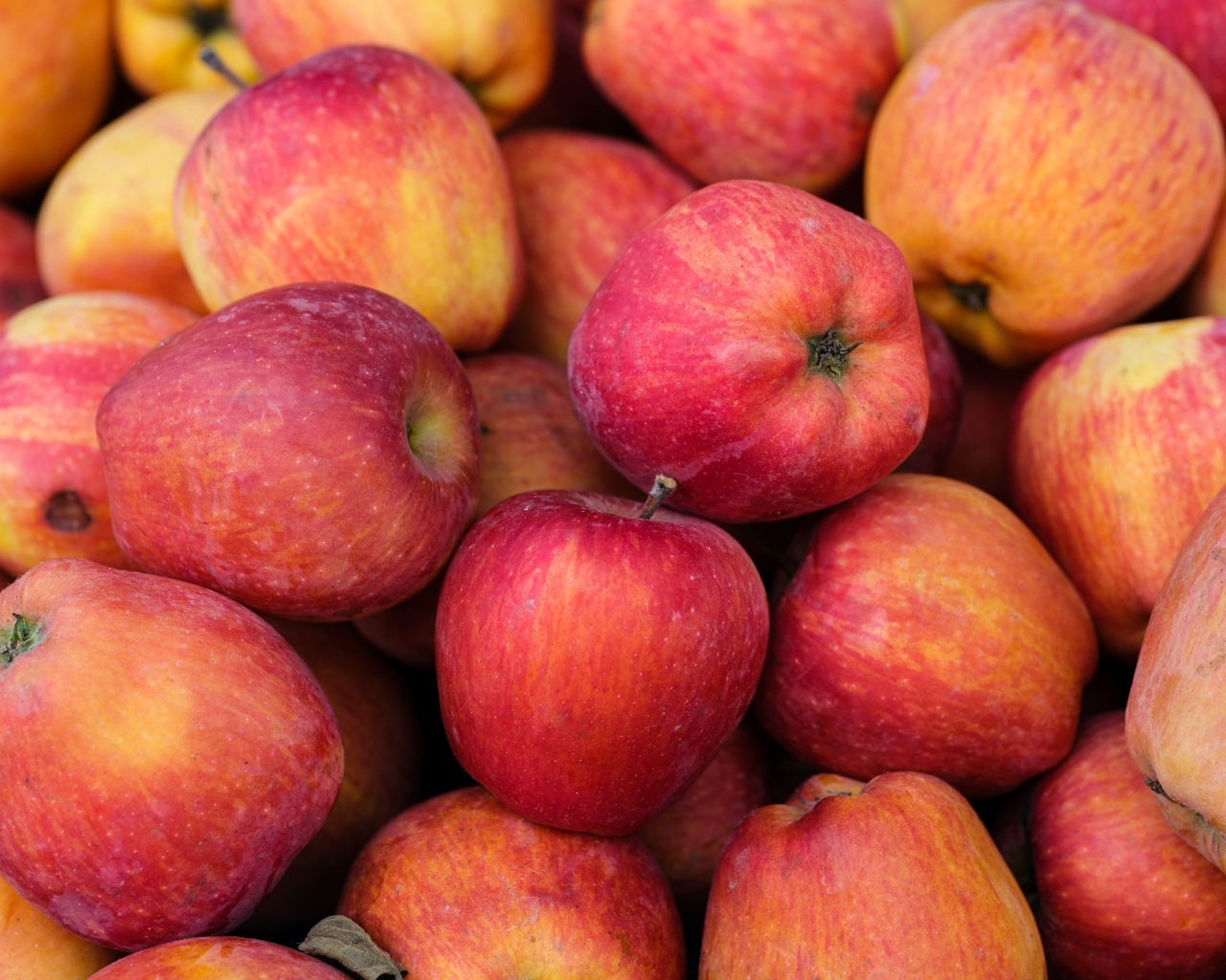 Крупные красные яблоки вблизи