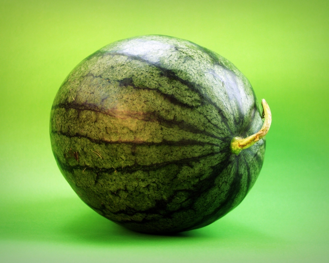 Большой полосатый арбуз на зеленом фоне крупным планом