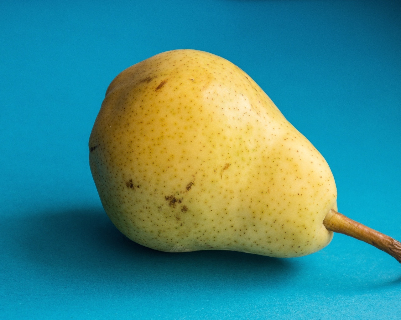 Большая желтая груша на голубом фоне