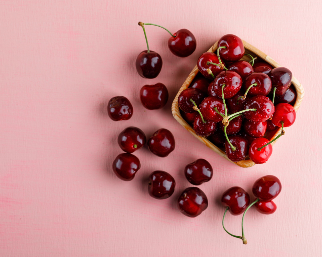 Спелые сладкие красные черешни на розовом фоне