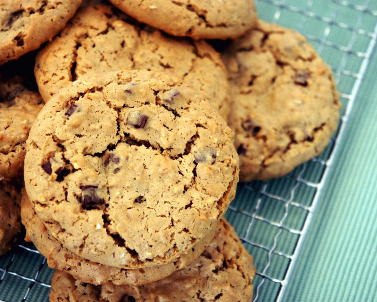 Аппетитное круглое печенье с шоколадом