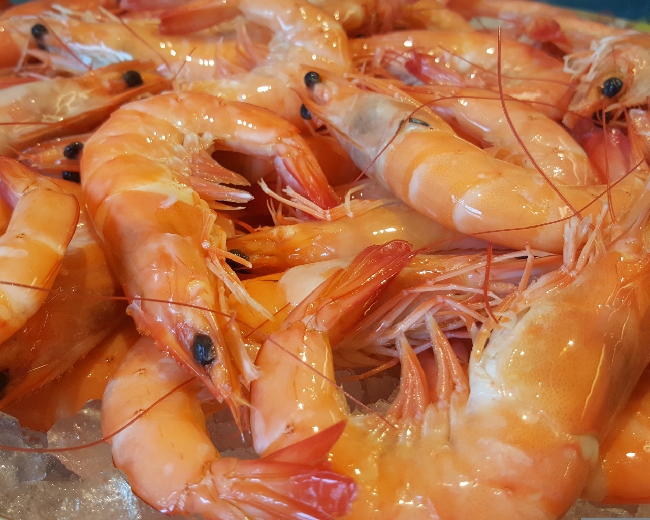 Вкусные креветки на тарелке крупным планом