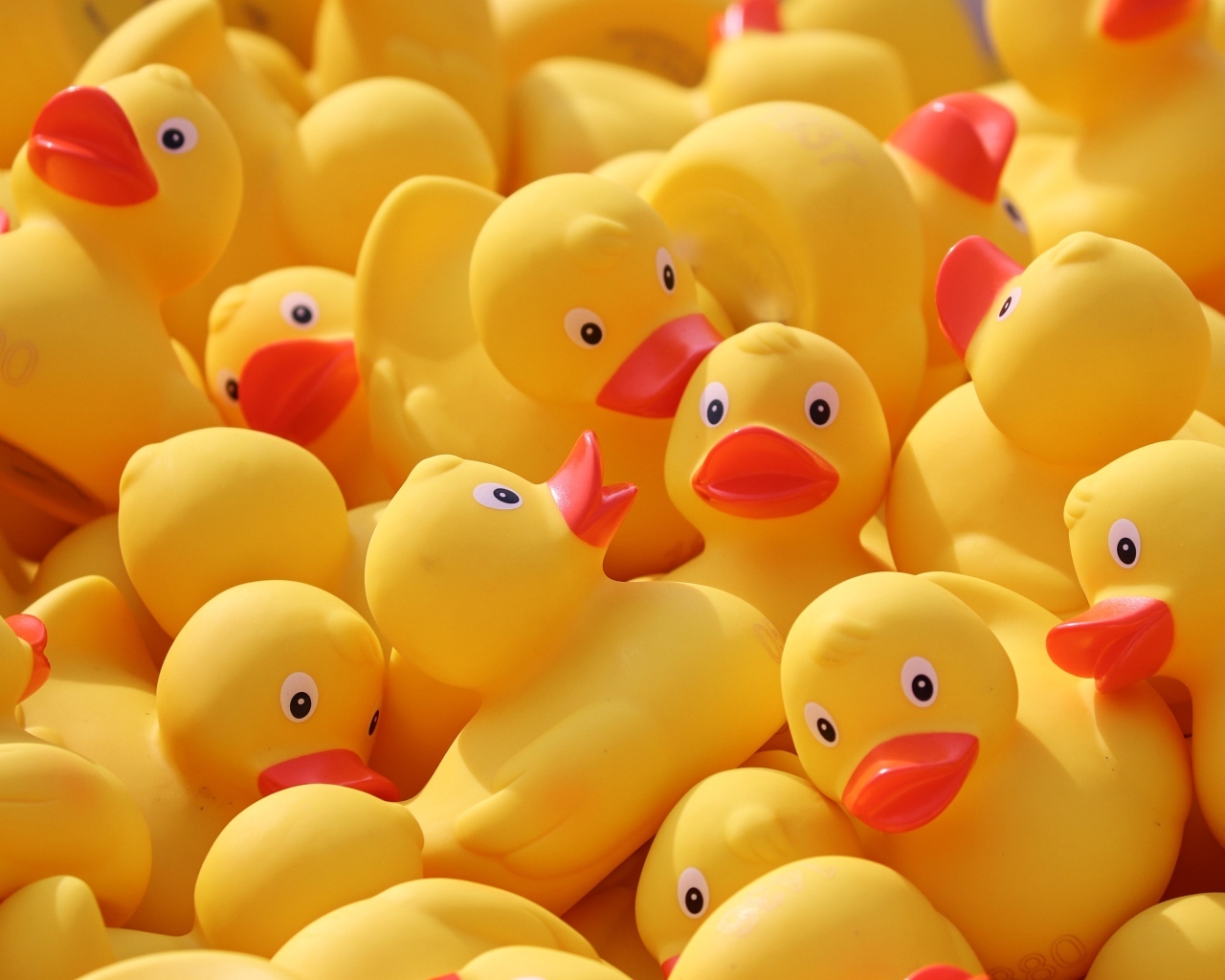 Резиновые желтые уточки 