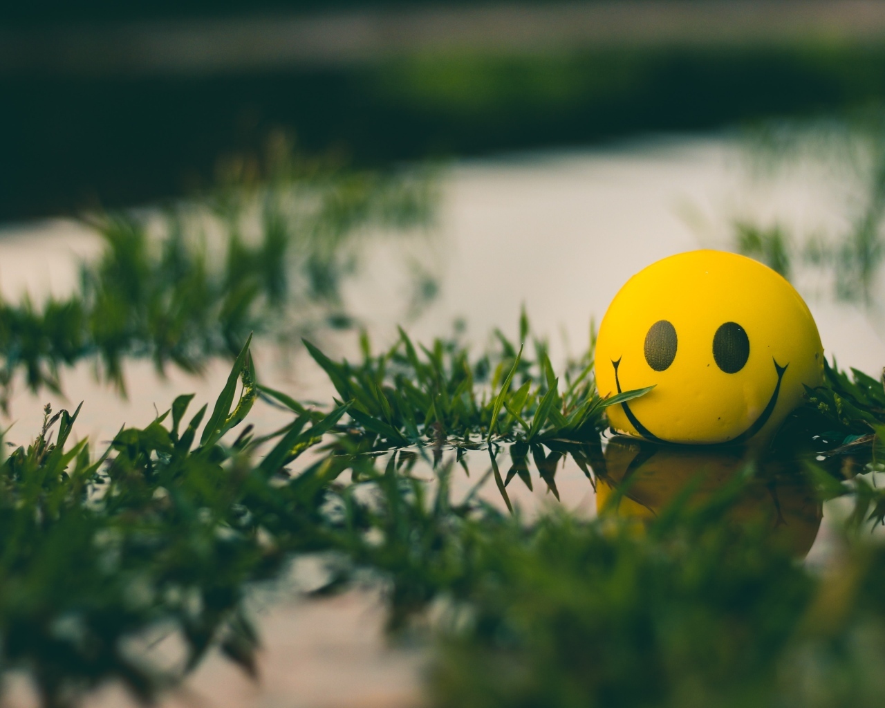 Желтый мяч смайл лежит в воде с травой