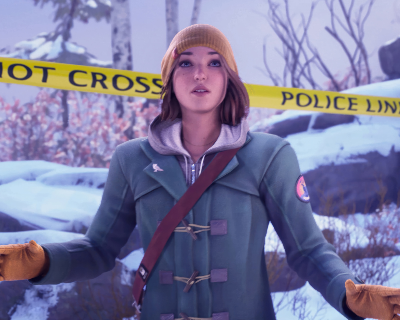 Компьютерная игра Life is Strange: Double Exposure, 2024