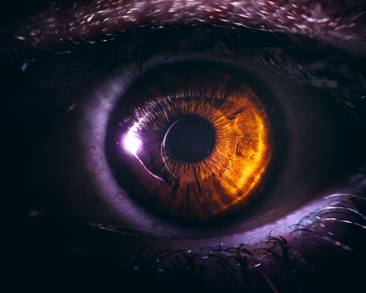 Черный зрачок карего глаза крупным планом