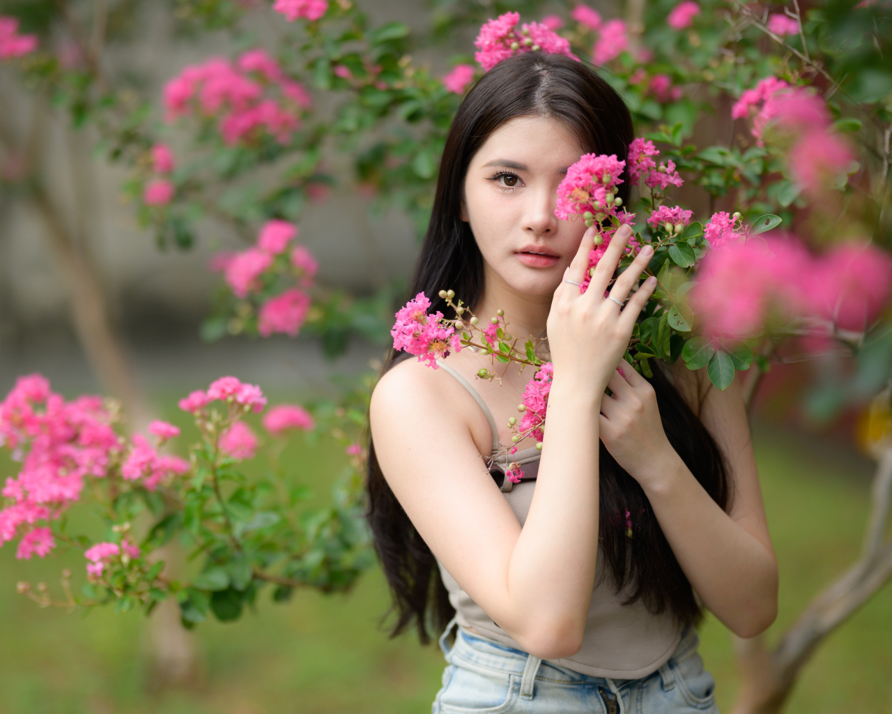 Азиатка закрывает лицо розовыми цветами на дереве