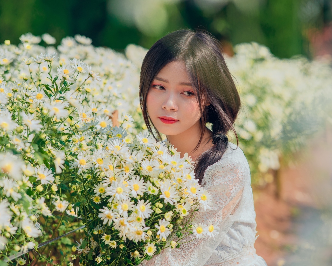 Нежная девушка азиатка с цветами ромашки