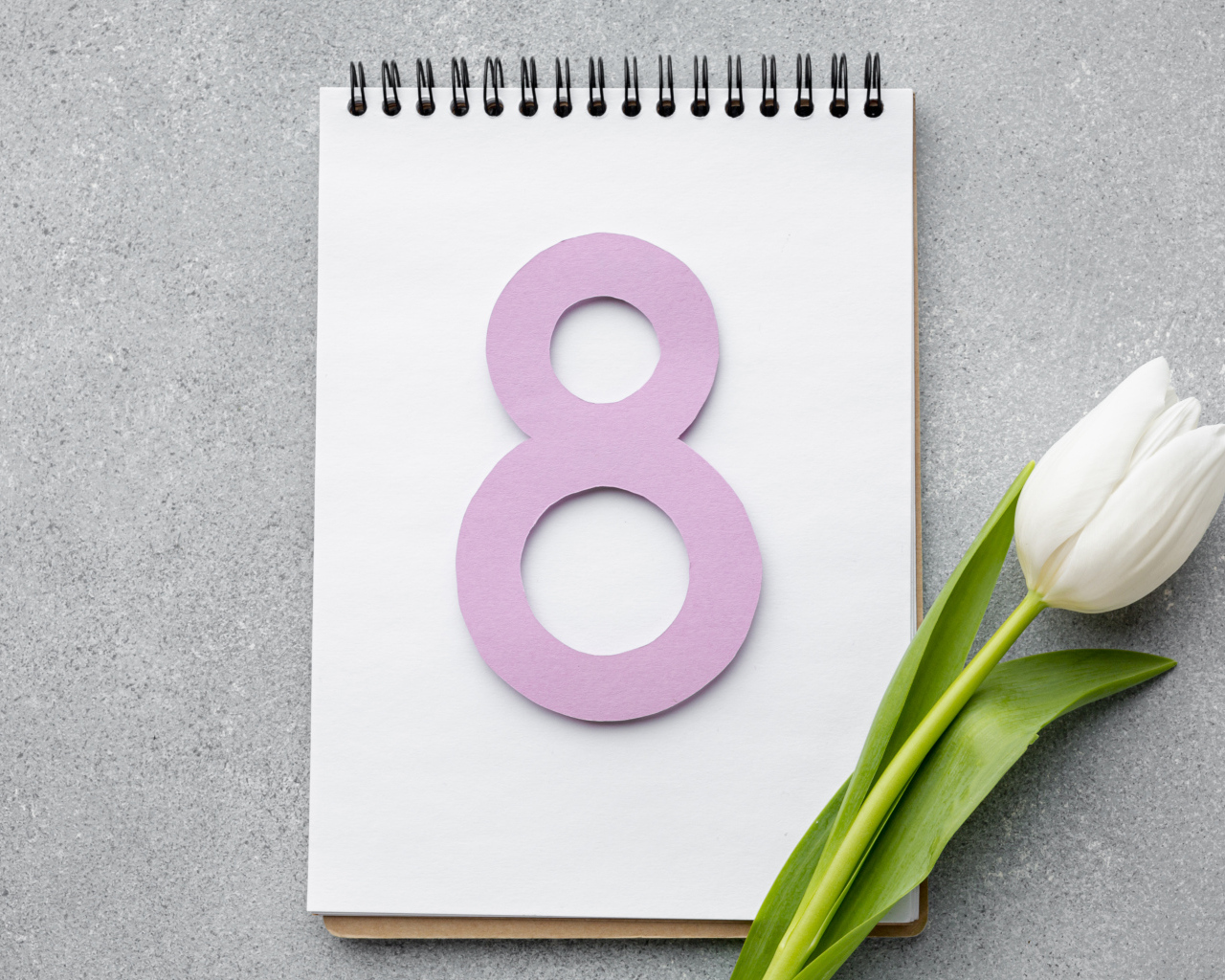 Розовая цифра 8 на блокноте с белым тюльпаном на Международный женский день 