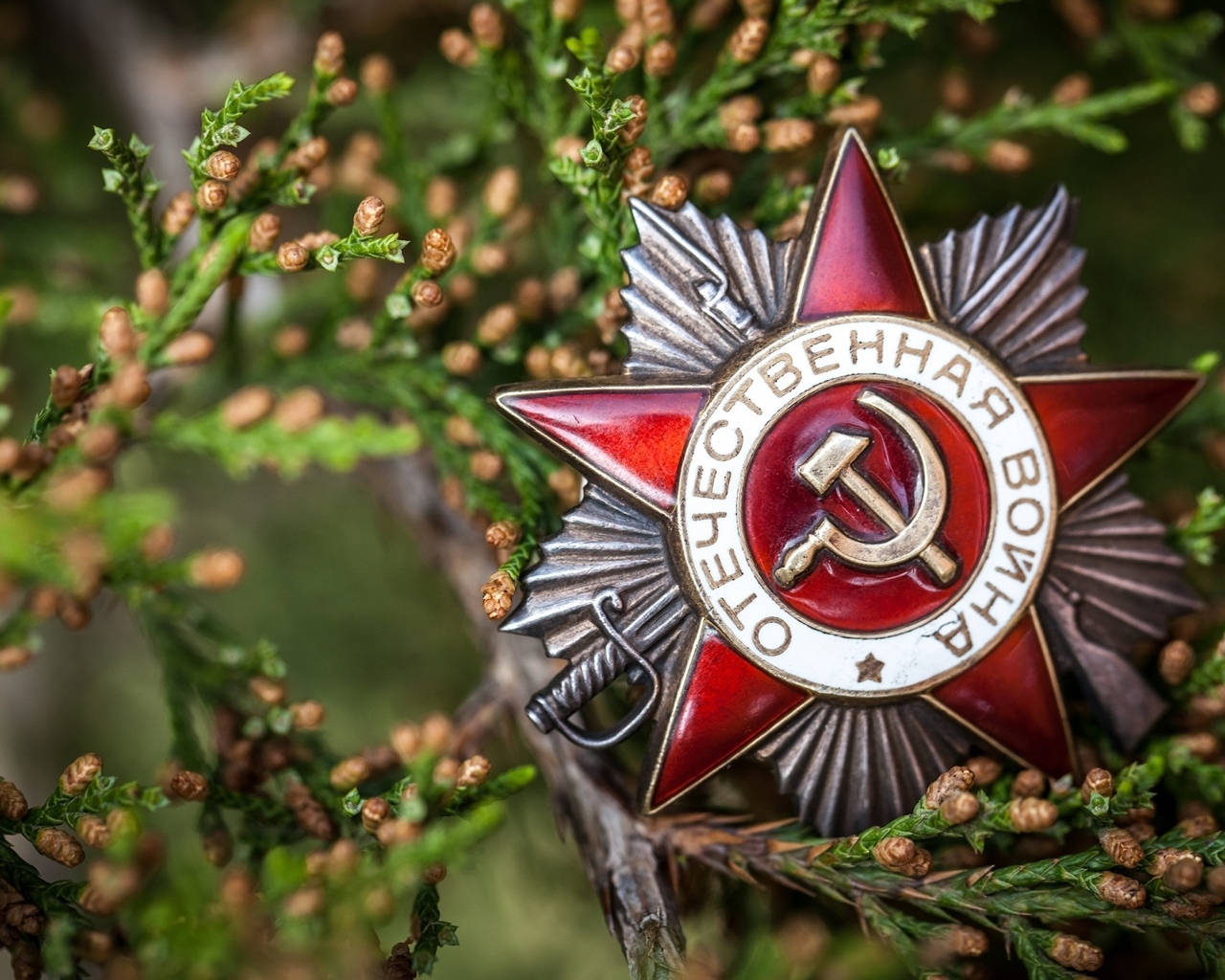 Орден с ветками на день Победы 9 мая