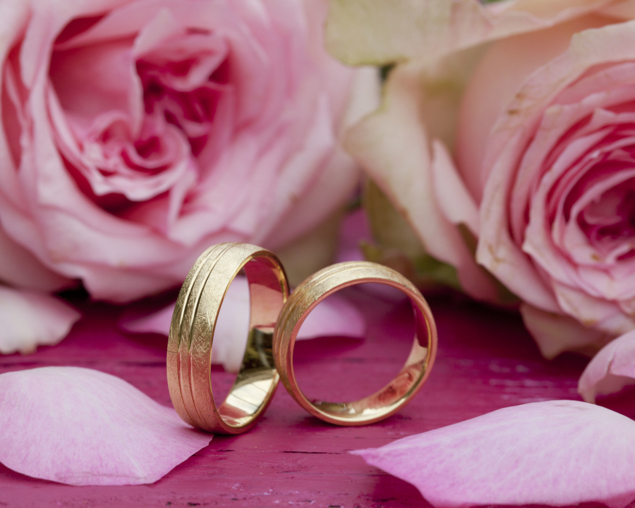 Два золотых обручальных кольца с цветами розы