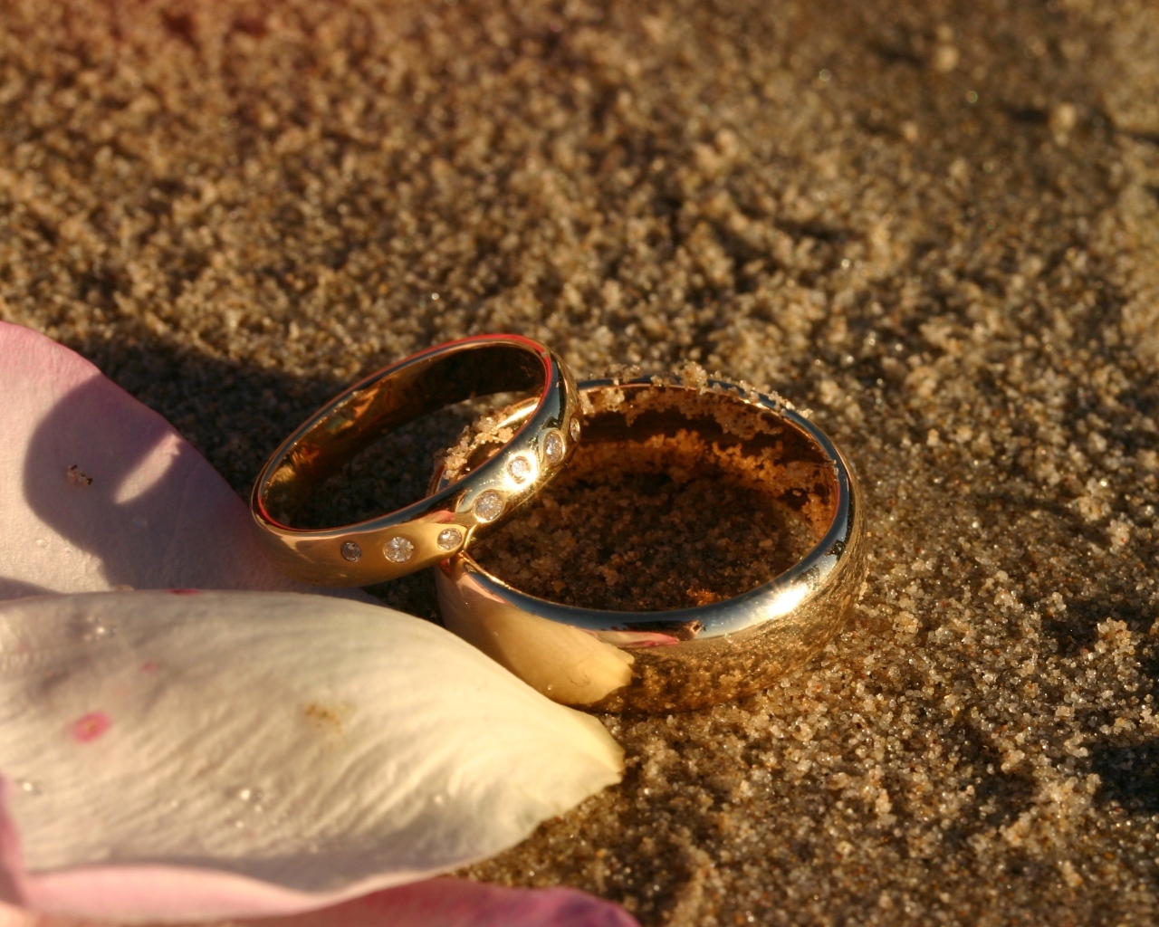 Два обручальных кольца с лепестками на мокром песке