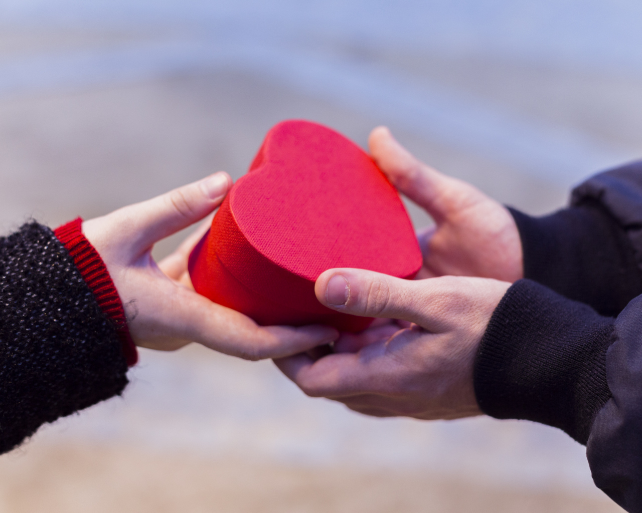 Пара держит небольшую подарочную коробку в форме сердца