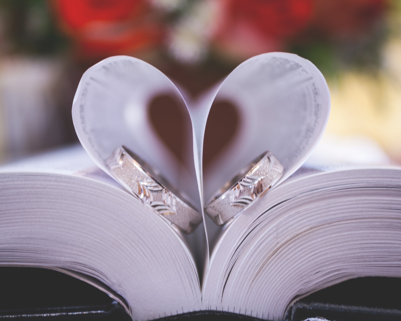 Сердце из страниц книги с кольцами