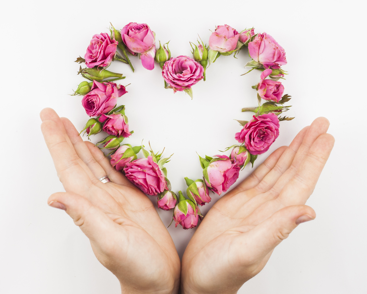 Ладони и сердце из цветов на белом фоне