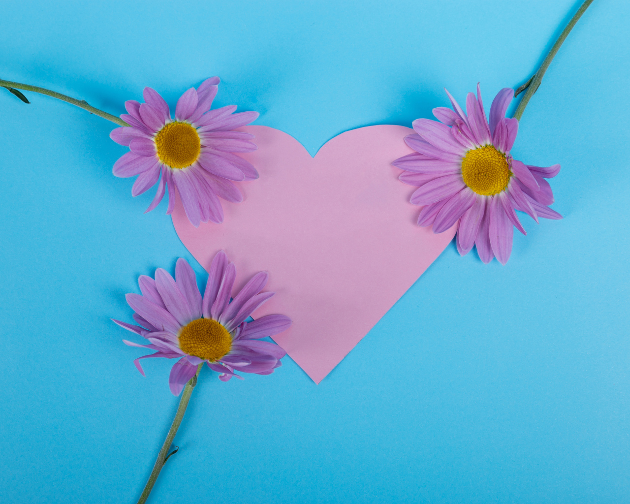 Розовое сердце с цветами на голубом фоне